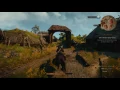 The Witcher 3: Wild Hunt  Walkthrough | Part 32 Ladies Of The Woods 1