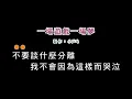 (伴奏版)王傑-一場遊戲一場夢(DIY卡拉OK字幕)