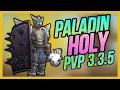 HOLY PALADIN 3 3 5 PVP - BEGINNER GUIDE WARMANE WOTLK Classic Gear Talents Macros Tips Arena 2022