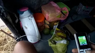 suara pikat burung belibis jos