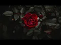 Download Lagu maggie lindemann - decode (𝐒𝐥𝐨𝐰𝐞𝐝+𝐑𝐞𝐯𝐞𝐫𝐛)