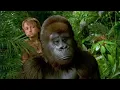 Download Lagu George Of The Jungle 2 - George vs. Mean Lion