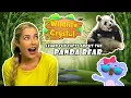 Panda Bear Facts