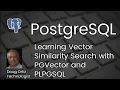 AI - Learning Vector Similarity Search with PGVector and PLPGSQL
