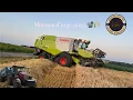 Download Lagu Début de l’orge 2025 avec ETA Le Caap 📸🌾
