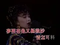陳慧嫻 夜機 1989幾時再見演唱會