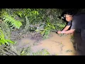 Download Lagu Mancing Di Rawa Bukaan Baru Yang Dipenuhi Gorgon Harus Waspada Jangan Asal Injak