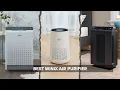 5 Best Winix Air Purifier for Home Allergies 2026 Reviews
