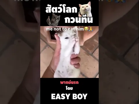 สัตว์โลกกวนตีน พากย์นรก  #short #easyboy #คลิปฮา #เบสไวน์