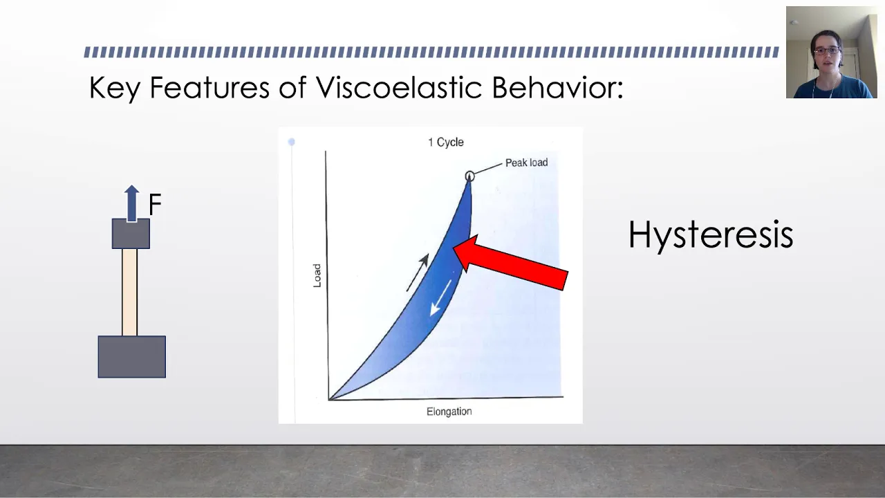 Tendon and Ligament Viscoelasticity: Hysteresis, Creep, and Load Relaxation