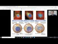 AP Biology Chapter 9 The Cell Cycle