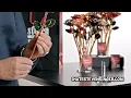 The Perfect Gift for Any Occasion - Steven Singer Jewelers 24kt Gold Dipped Rose