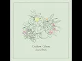 Curar - Lorena Blume