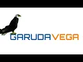 garudavega courier service himayathnagar parcel send India to usa