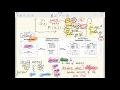CS1A 14 Object Orientation entities classes attributes behaviour