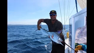 Recycle BAIT board and we catch a Marlin Episode 37 | Sailing Catalpa