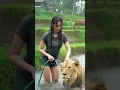 Download Lagu Tropical Rain Sounds in the Countryside | Make Sleep Sound and Calm #rainsounds #rain #Nature