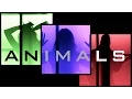 Download Lagu Animals - Maroon 5 | Ali Brustofski \u0026 PopGun Cover (Music Video)