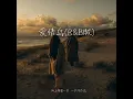 爱情鸟 R&B版