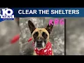 RBG has been waiting for a home for 4 years