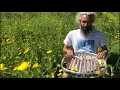 Download Lagu Bajinn: Spring Sounds