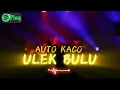 Download Lagu AUTO KACO🔥- ULEK BULU #2 [ ANGGA LATIEF ] NEW REMIX 2024‼️