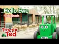 Hello Ewe Tractor Ted Full Episode Big Machines Tractors For Kids