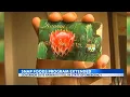 SNAP benefits extended for Hawaii residents