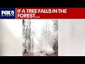 Georgia Power restores 70 000 customers after storm FOX 5 News