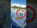 Download Lagu Anak NGERJAIN Bapaknya Pas Mancing❗😂#lucu #mancing #videoviral