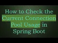 How to Check the Current Connection Pool Usage in Spring Boot