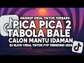 Download Lagu DJ PICA PICA 2 X TABOLA BALE X CALON MANTU IDAMAN SLOW VIRAL TIKTOK FULL SONG MAMAN FVNDY 2025