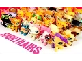 All My LPS Shorthair Cats UPDATED
