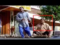 Download Lagu Gundu Hanumantha Rao And kota Srinivasa Rao Best Movie Comedy Scene | @TeluguVideoZ