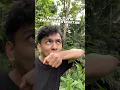 Download Lagu Bikin suara panggil tupai liar pakai tangan 🐒😱 #shorts #dincup