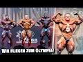 Download Lagu Ich gewinne die Italy Pro im Open Bodybuilding!