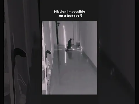 Subscribe for more unexpected secret agents 😂 #shorts