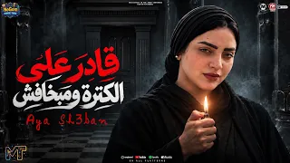 قادر فى الكتره ومبخافشي   اصفر عمرك ما هتسلك    قاعدين للسقطه  ايه شعبان        ترند حظ شعبى      دندنها