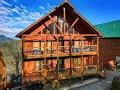 950 Black Bear Cub Way