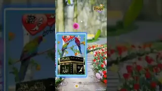 صلوا على النبي وزيدوا صلاته 