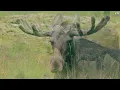 Wonders of Maine | The Most Amazing Places in Maine | Travel Video 4K