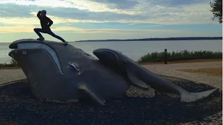 A Short Break From The Cruising Life GRIND | Sailboat Story 26