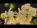 Fleetwood Mac - Dreams (2004 Remaster) | Lyrics