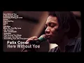 Download Lagu Felix Irawan cover lagu barat