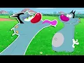 Oggy and the Cockroaches 😨 THE NEW OGGY (S06E40) Full episode in HD