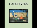 Peace Train - Cat Stevens