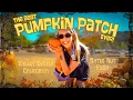 The BEST Pumpkin Patch in California Bates Nut Farm Adventure