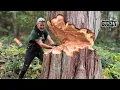 The BIGGEST Tree I’ve Ever Chopped Down With an Axe 