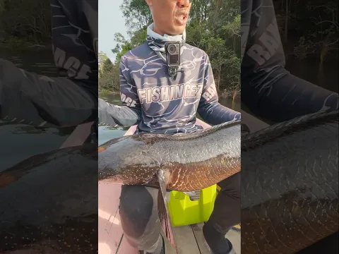ปลาก๊วนยักษ์ ใหญ่ที่สุดในชีวิต