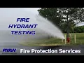 Fire Hydrant Testing